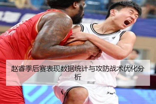 赵睿季后赛表现数据统计与攻防战术优化分析